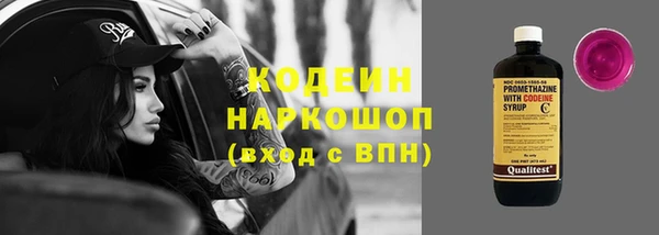 дурь Арсеньев