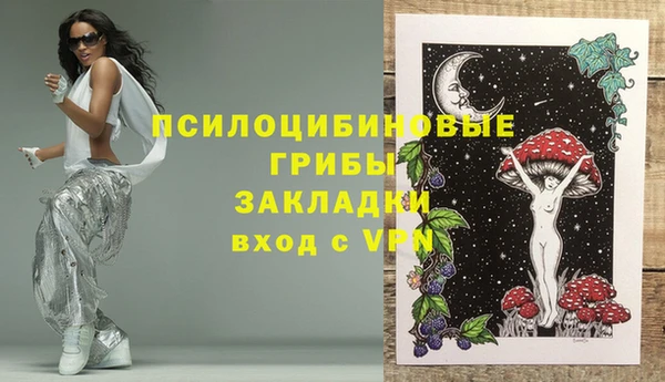 дурь Арсеньев