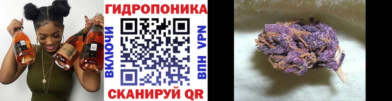Каннабис ГИДРОПОН это формула Спасск где продают